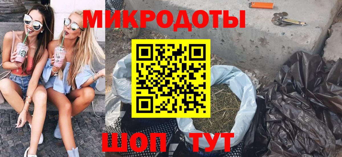 Галлюциногенные грибы Psilocybe Бутурлиновка