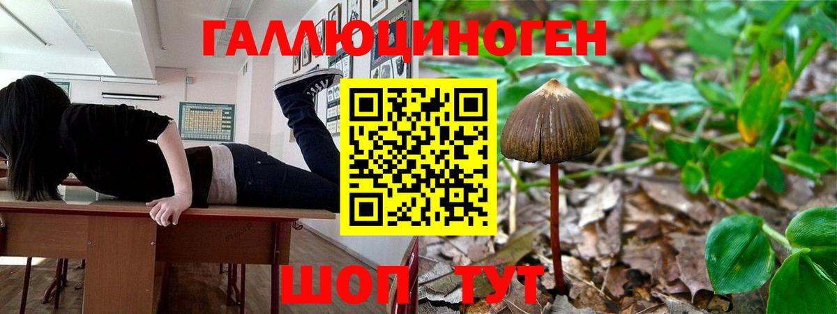 где купить наркотик  Вход с VPN  Бутурлиновка  Галлюциногенные грибы MAGIC MUSHROOMS  Псилоцибиновые грибы Cubensis 